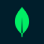 mongo 1.png